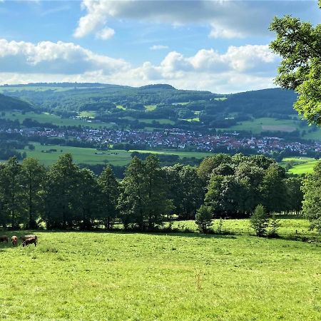 Ferienwohnung Natur-Pur Ehrenberg  Zewnętrze zdjęcie