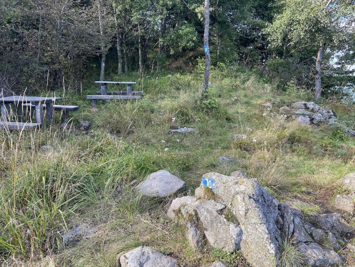 Ferienwohnung Natur-Pur Ehrenberg  Zewnętrze zdjęcie
