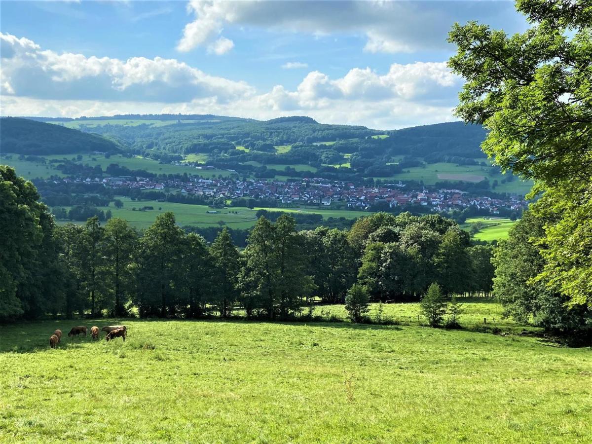 Ferienwohnung Natur-Pur Ehrenberg  Zewnętrze zdjęcie